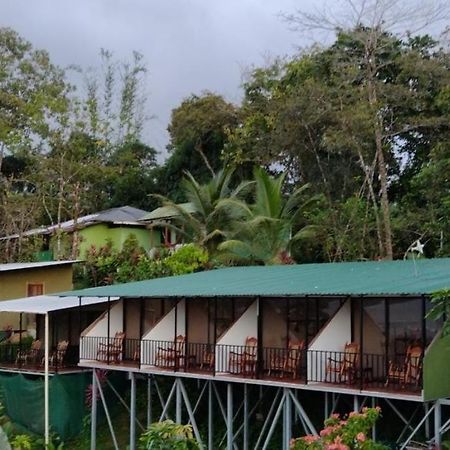 Hotel Cabinas Murillo Drake Bay Ngoại thất bức ảnh