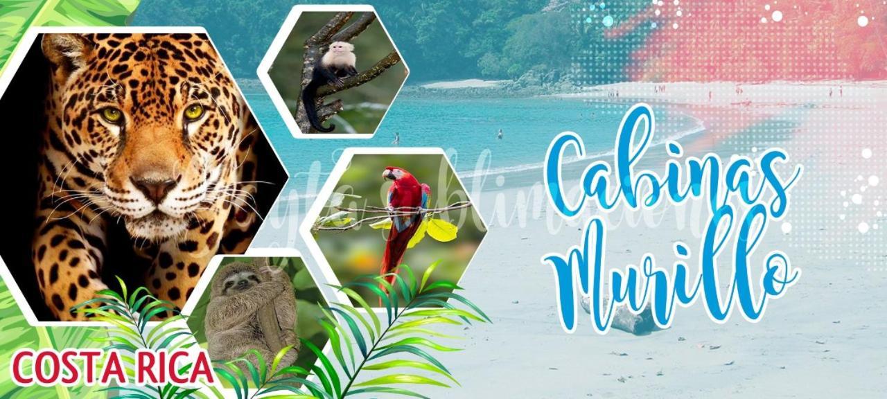 Hotel Cabinas Murillo Drake Bay Ngoại thất bức ảnh