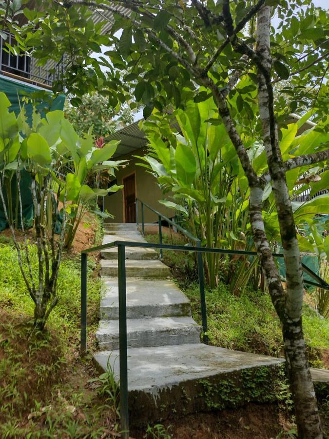 Hotel Cabinas Murillo Drake Bay Ngoại thất bức ảnh