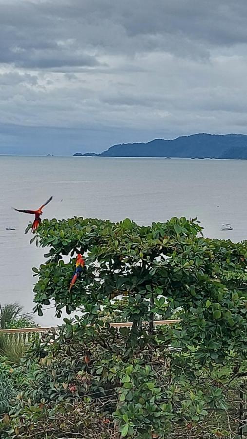 Hotel Cabinas Murillo Drake Bay Ngoại thất bức ảnh