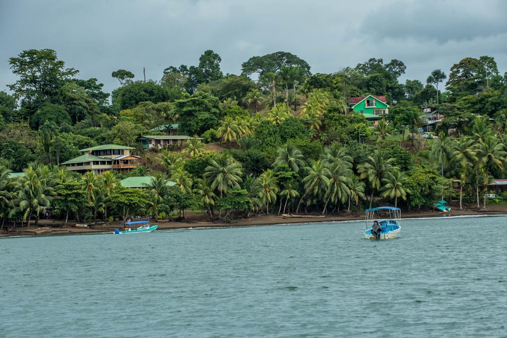 Hotel Cabinas Murillo Drake Bay Ngoại thất bức ảnh